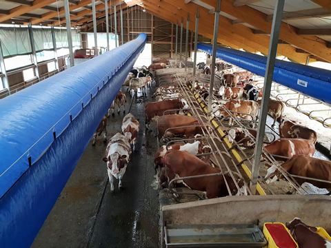 CUSTOM DESIGNED AND OPTIMAL LOCATION OF EACH TUBE ENSURES HIGH EFFICIENCY